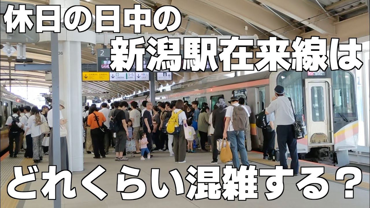 休日の日中の新潟駅在来線はどれくらい混雑する？
