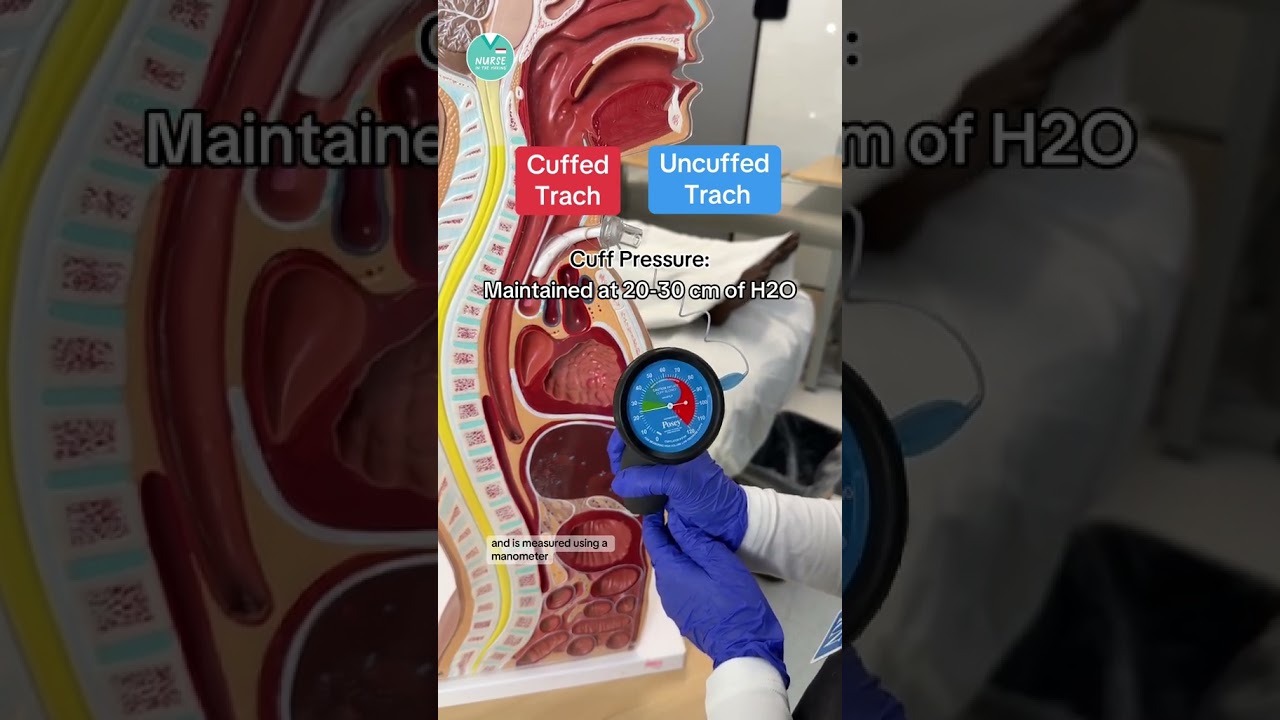 🫁 Tracheostomy Tubes: Cuffed Vs. Uncuffed #RN #BSN #futurenurse