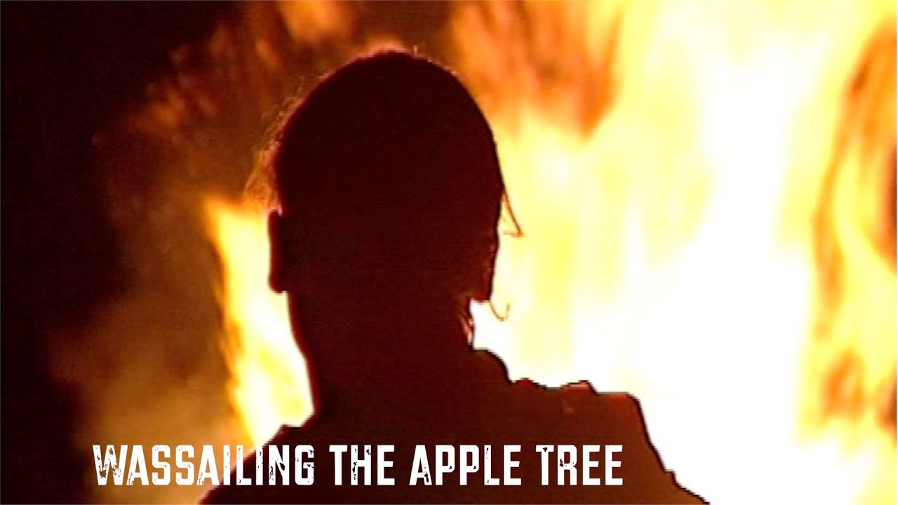 Wassailing the Apple Trees