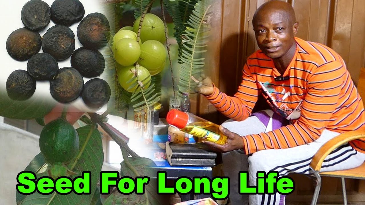 Swallow this seed with saliva at 5am & you will never die until you vomit it | Opanin Asante | Efie