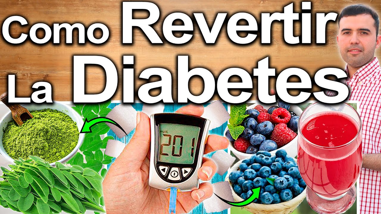 REVIERTE LA DIABETES 100% - C&oacute;mo Curar La Diabetes O Prediabetes Y Bajar El Az&uacute;car