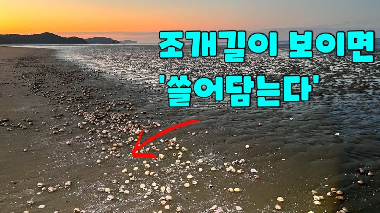 간조4시간전 20분이면 충분!