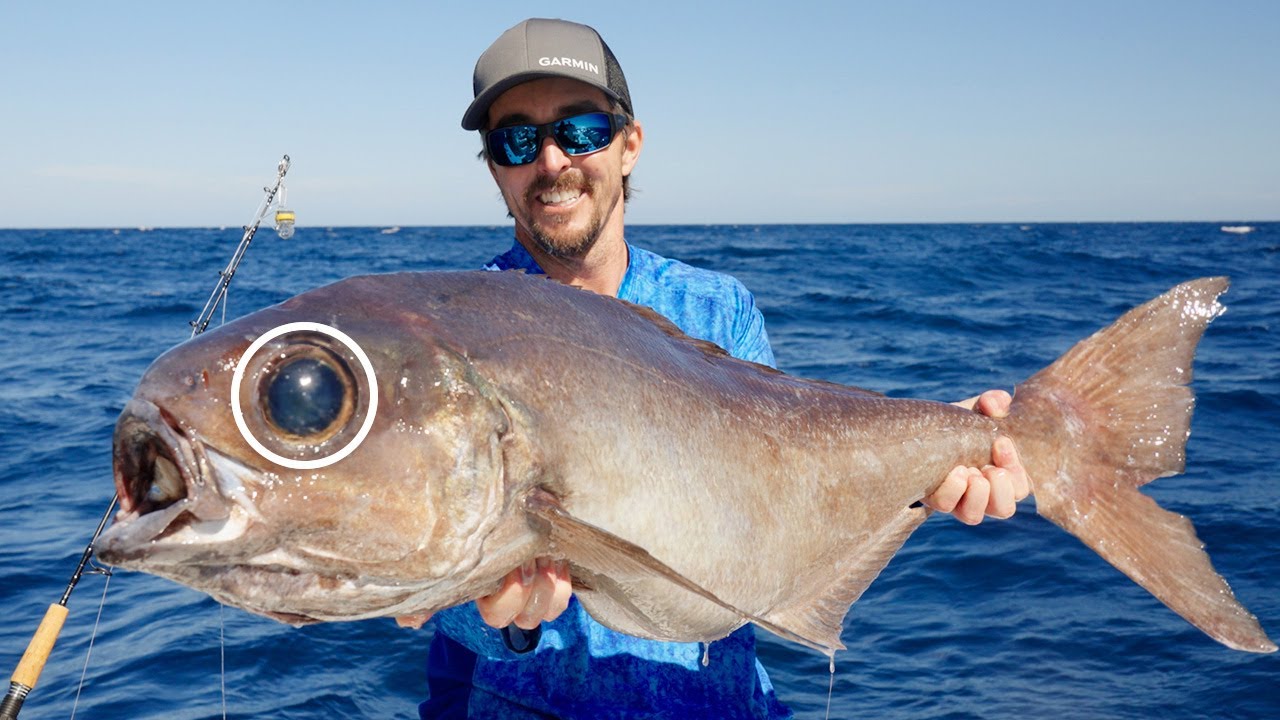 Dropping 1000&rsquo; Deep! 20 Miles Offshore! (Hand Crank) Barrelfish Catch and Cook
