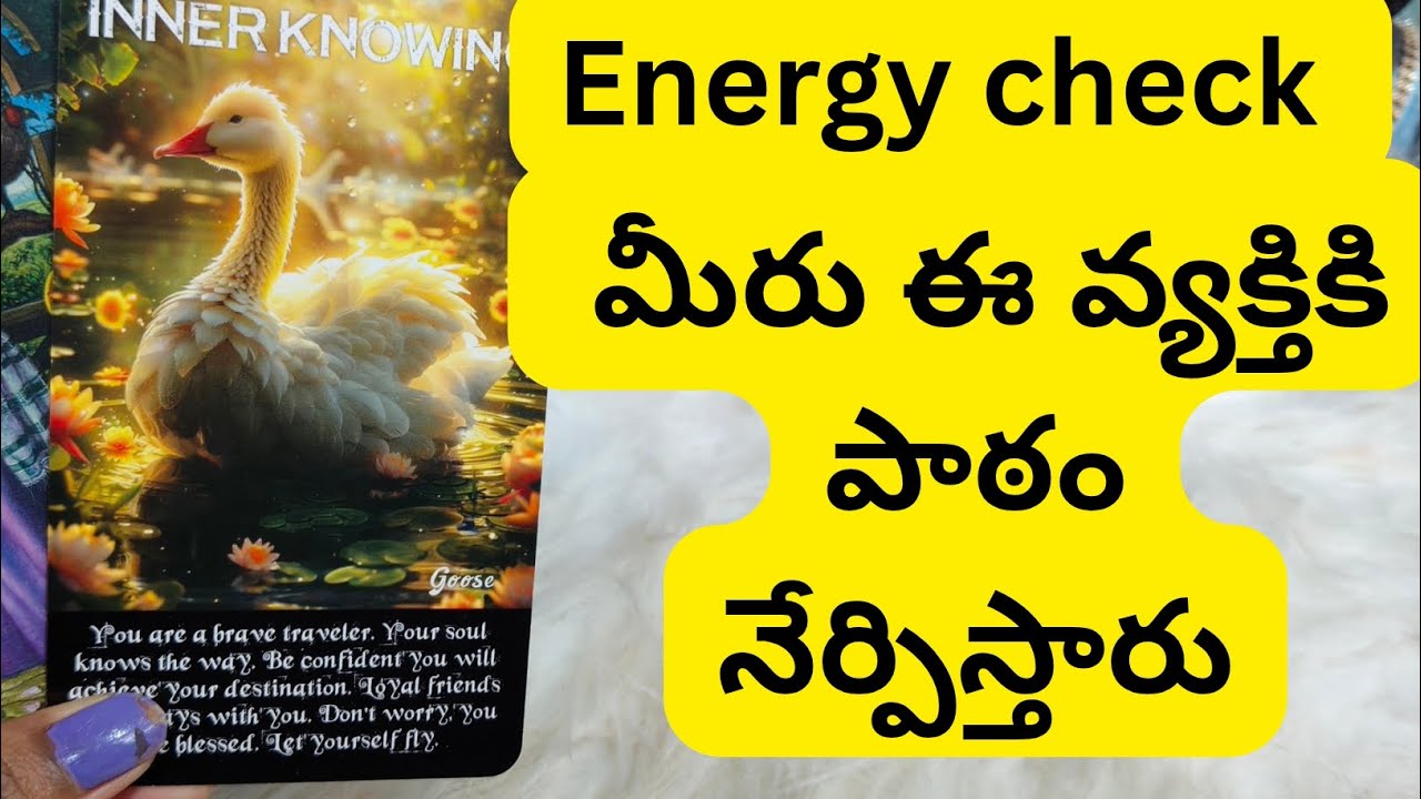 మీరు ఈ వ్యక్తికి పాఠం నేర్పిస్తారు 😳💯6300509679