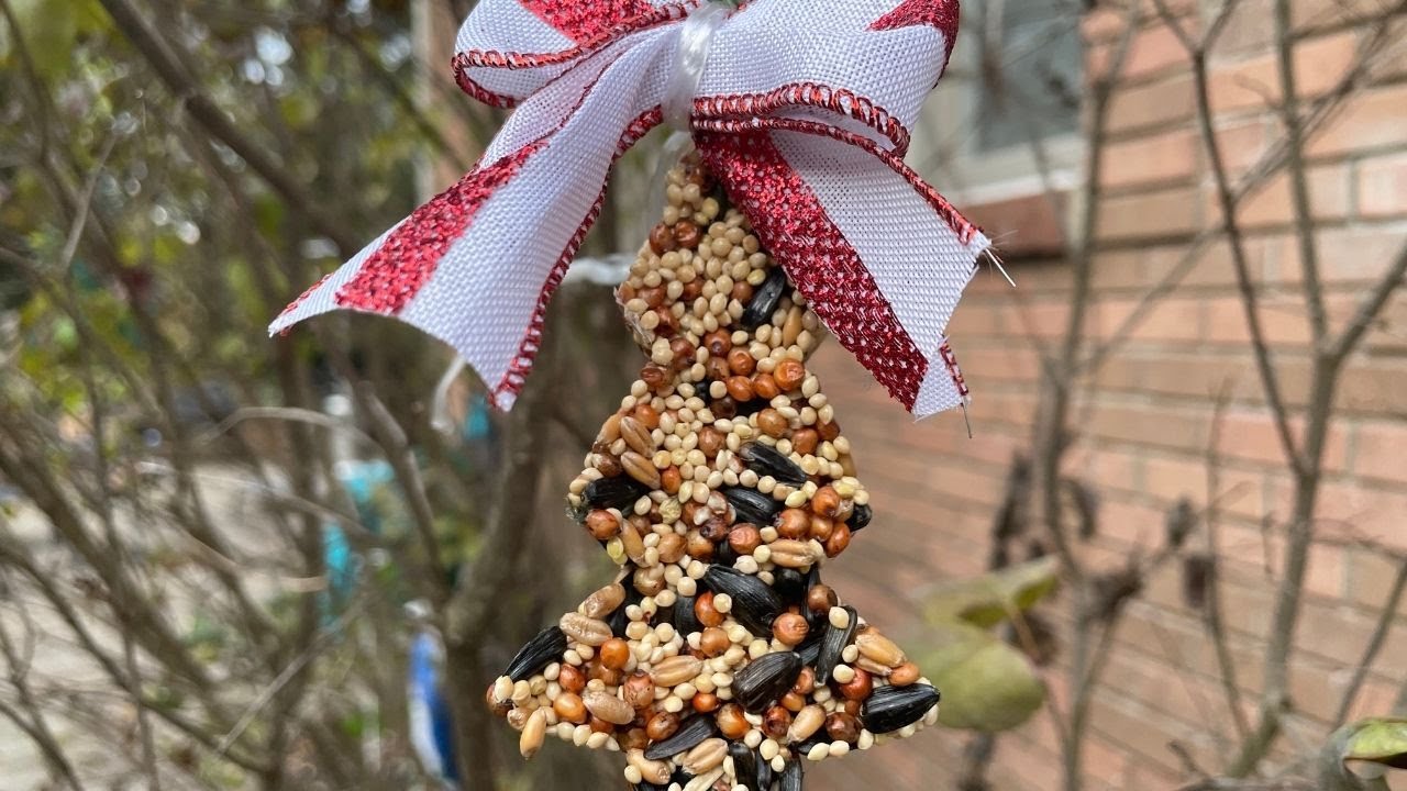 DIY Birdseed Ornaments