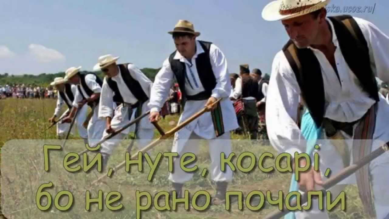 Вийшли в поле косарі