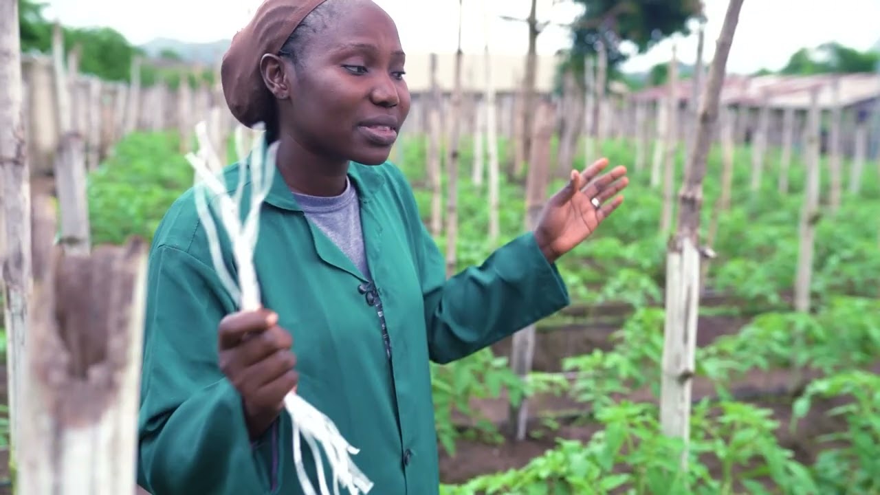 Ekiti on The Move 2025 (Episode 9)