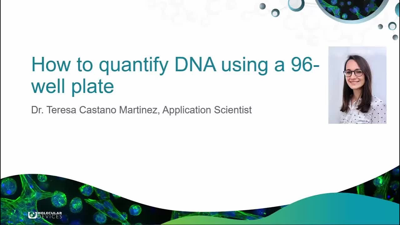 How to quantify DNA using a 96-well plate in SoftMax&reg; Pro Data Acquisition and Analysis Software