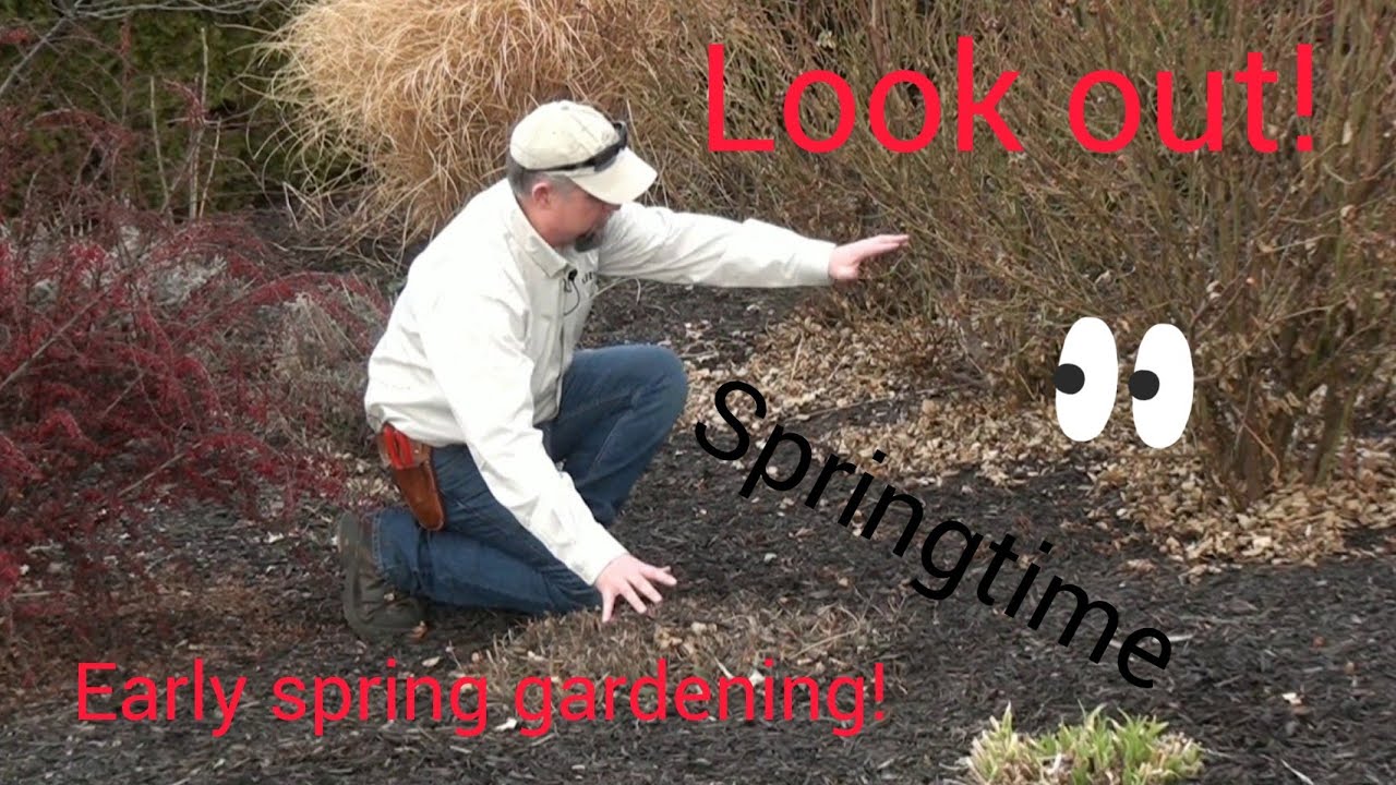 Early Spring in the Garden!