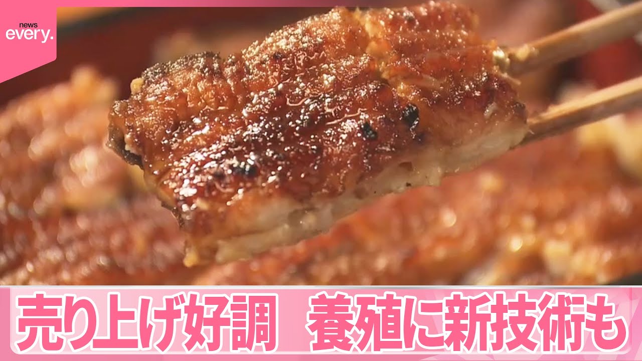 【うなぎ】「土用の丑の日」猛暑で売り上げ好調  養殖に新技術&ldquo;従来の10倍&rdquo;大量生産も