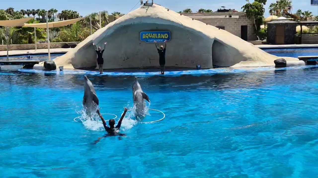 Aqualand Dolphin Show Tenerife