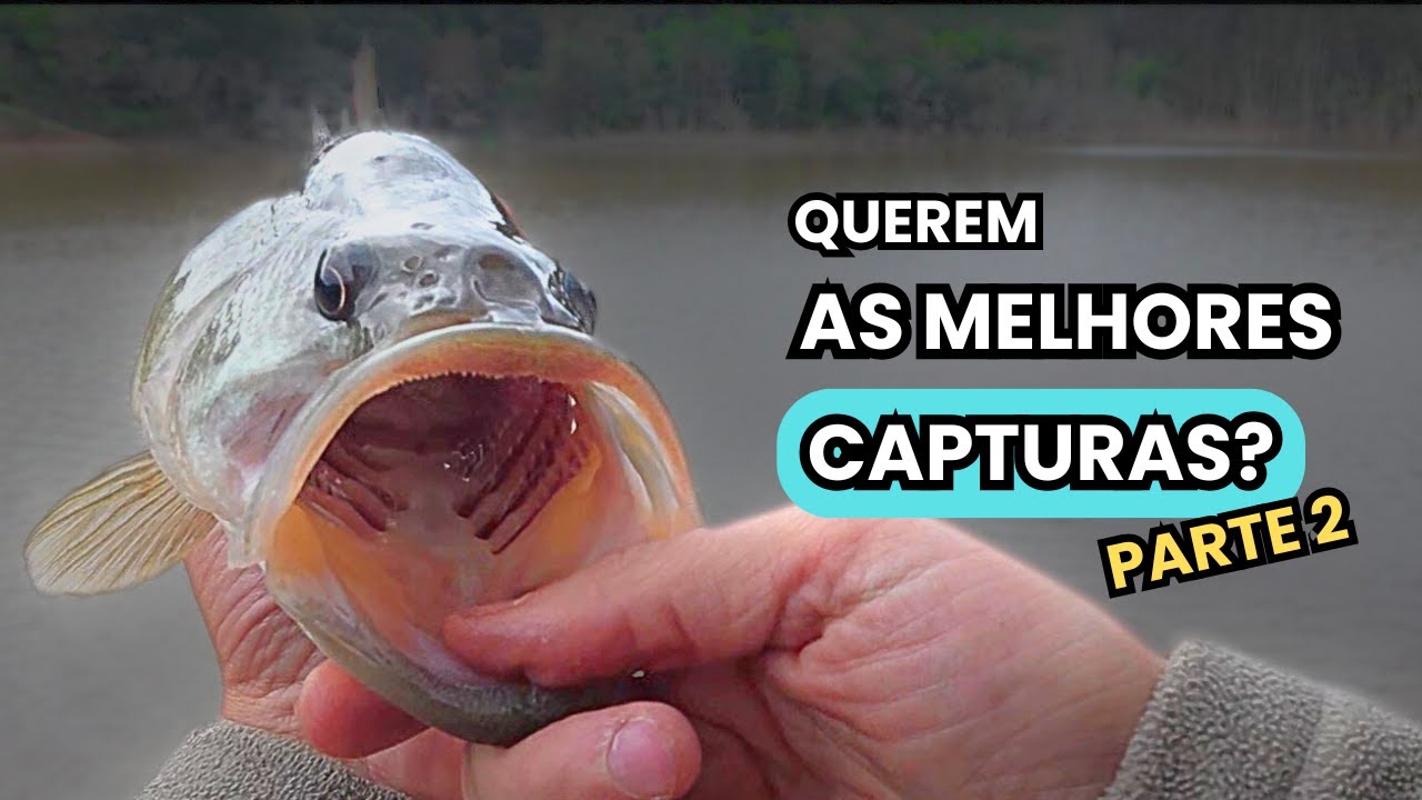 As Melhores Capturas de 2025 com os Sítios e Amostras usadas, Parte 2!