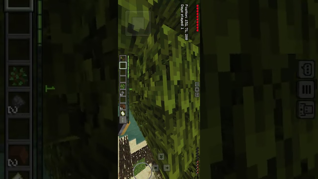 minecraft day2