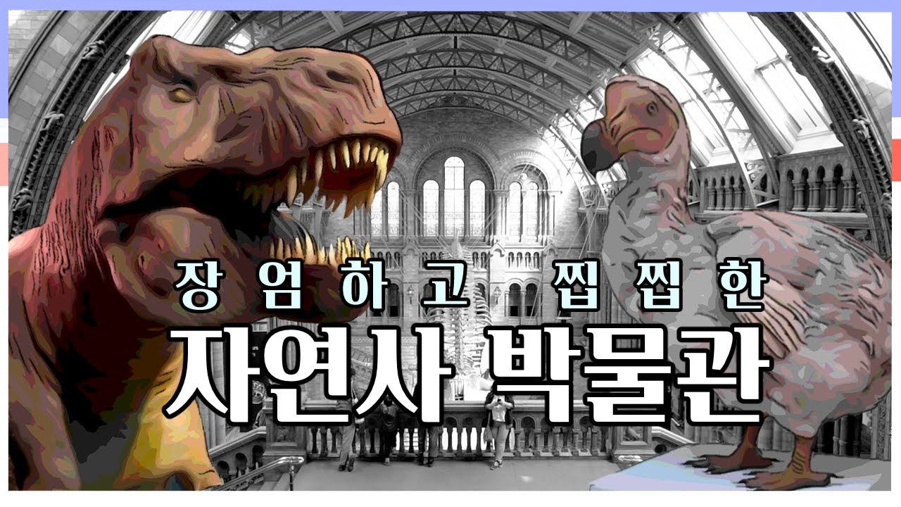 런던 vlog] 너도 멸종되지 않게 조심해 🦕 죽은 것들의 박물관 -  런던 자연사 박물관 /