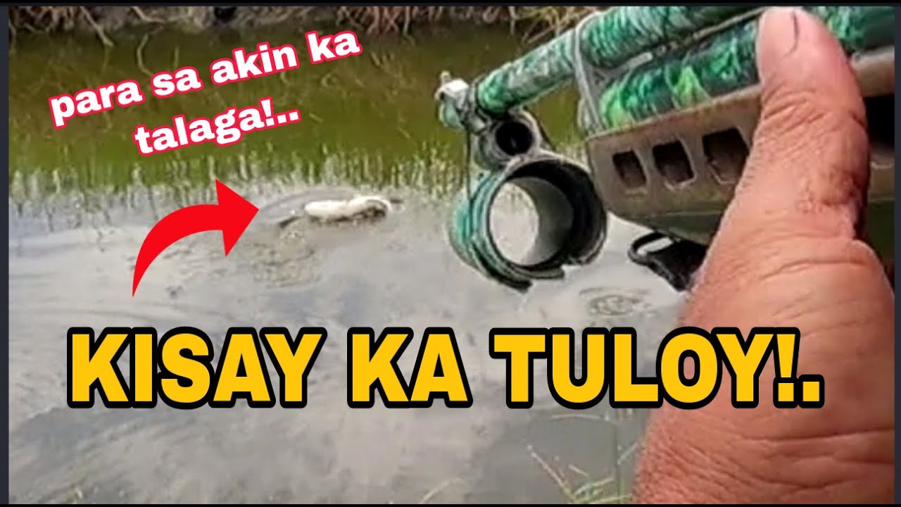 NAPASOK KO NA ANG DATI KONG SPOT ANG TATABA NA NG ISDA /Airgun fishing /Fishgunerong Madiskarte