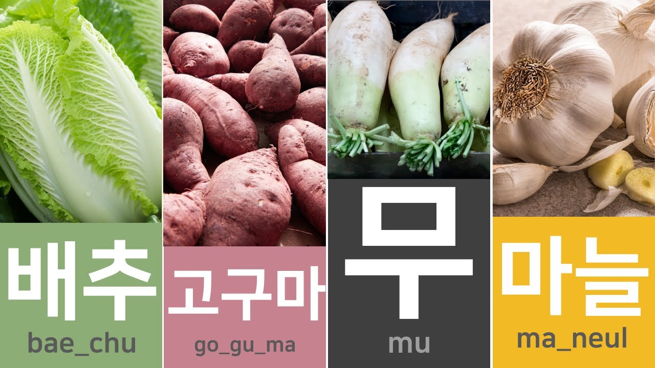 50 Basic Korean Words for beginners #08 | Vegetables Popular in Korea
