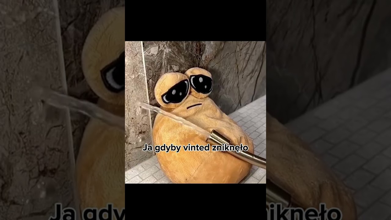Co Bym zrobił Gdyby Vinted Zniknęło! 😭