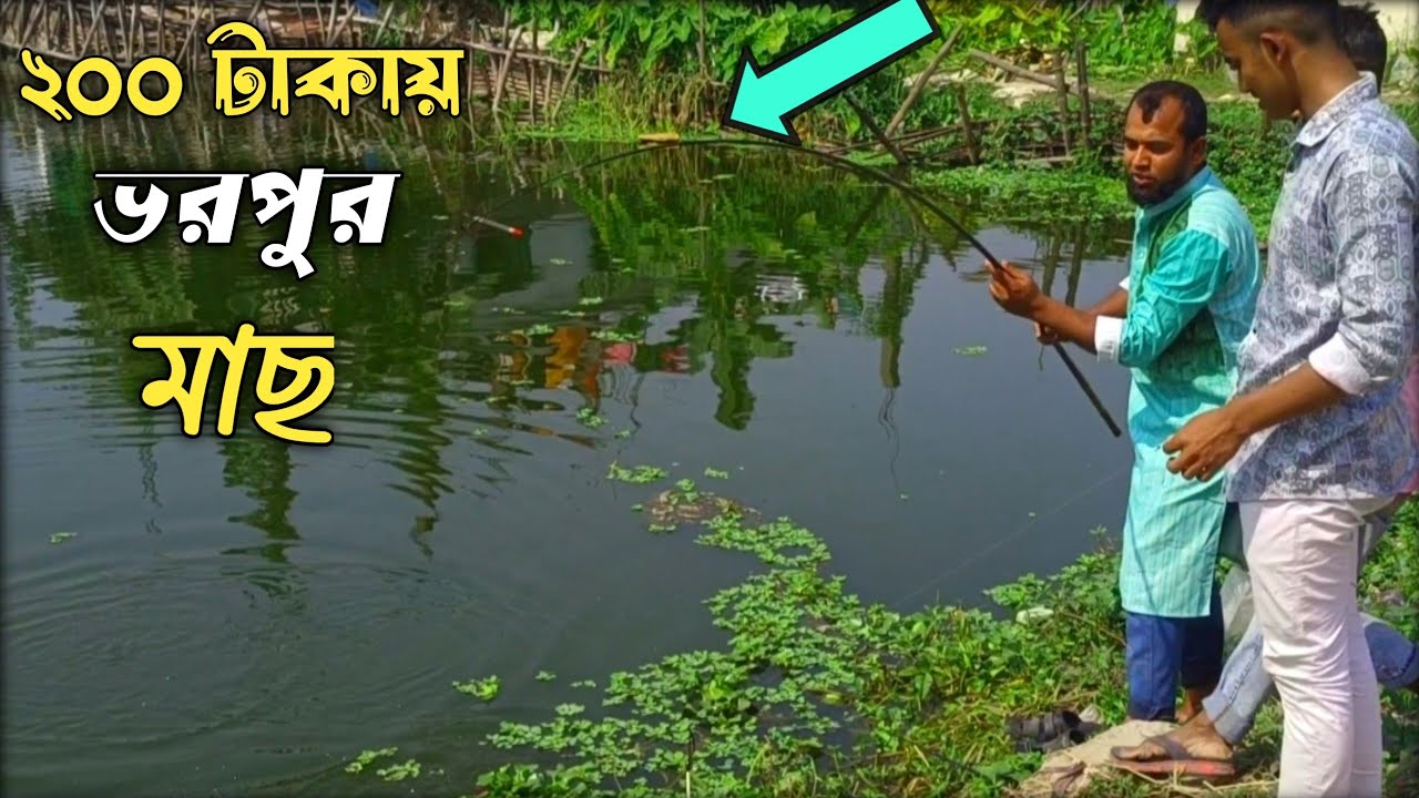 অল্প টাকায় মাছ ধরার আদর্শ জায়গা মাতুয়াইল সাদ্দাম মার্কেট | Bangladesh Fishing Club