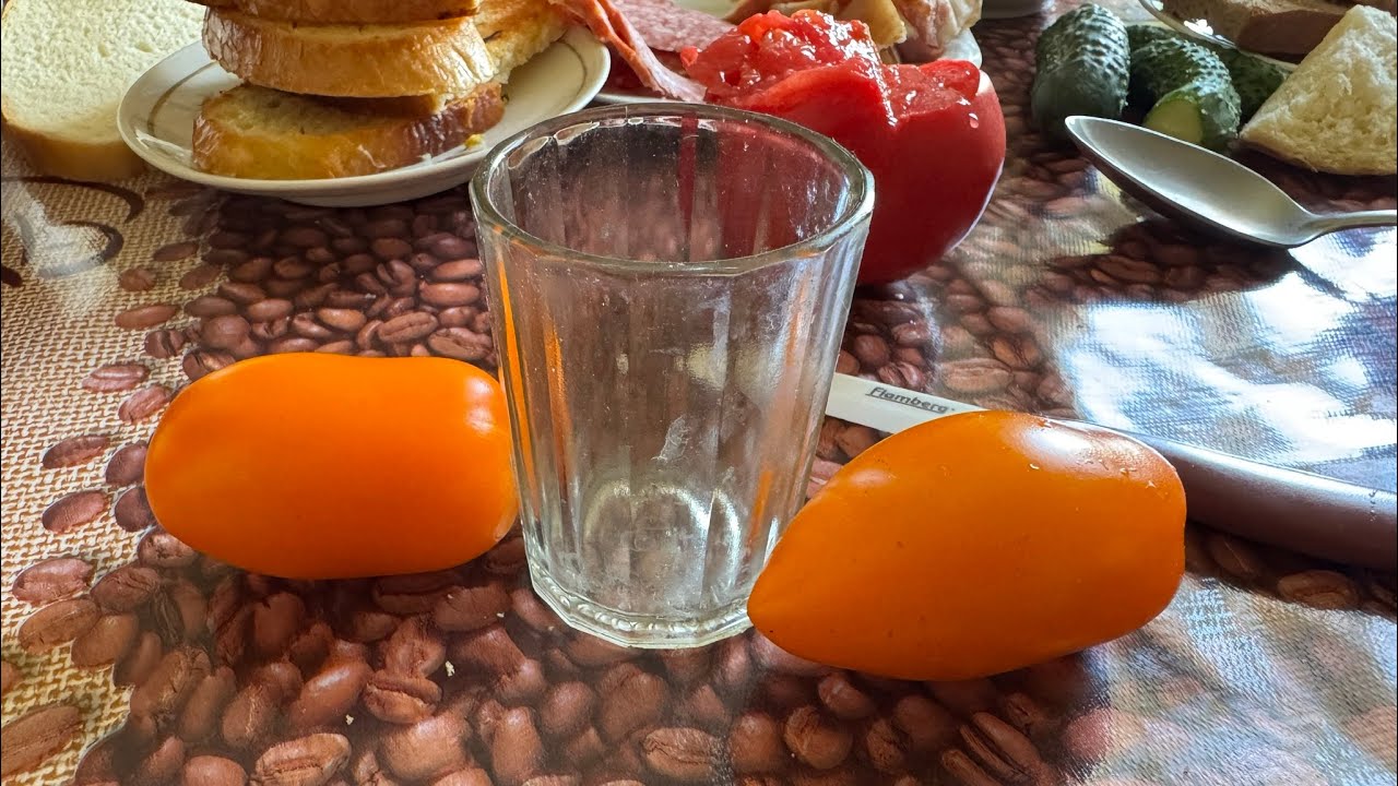 Помидоры семена 🍅 сорт Батяня, Де Барао  AzovPort в прямом эфире!