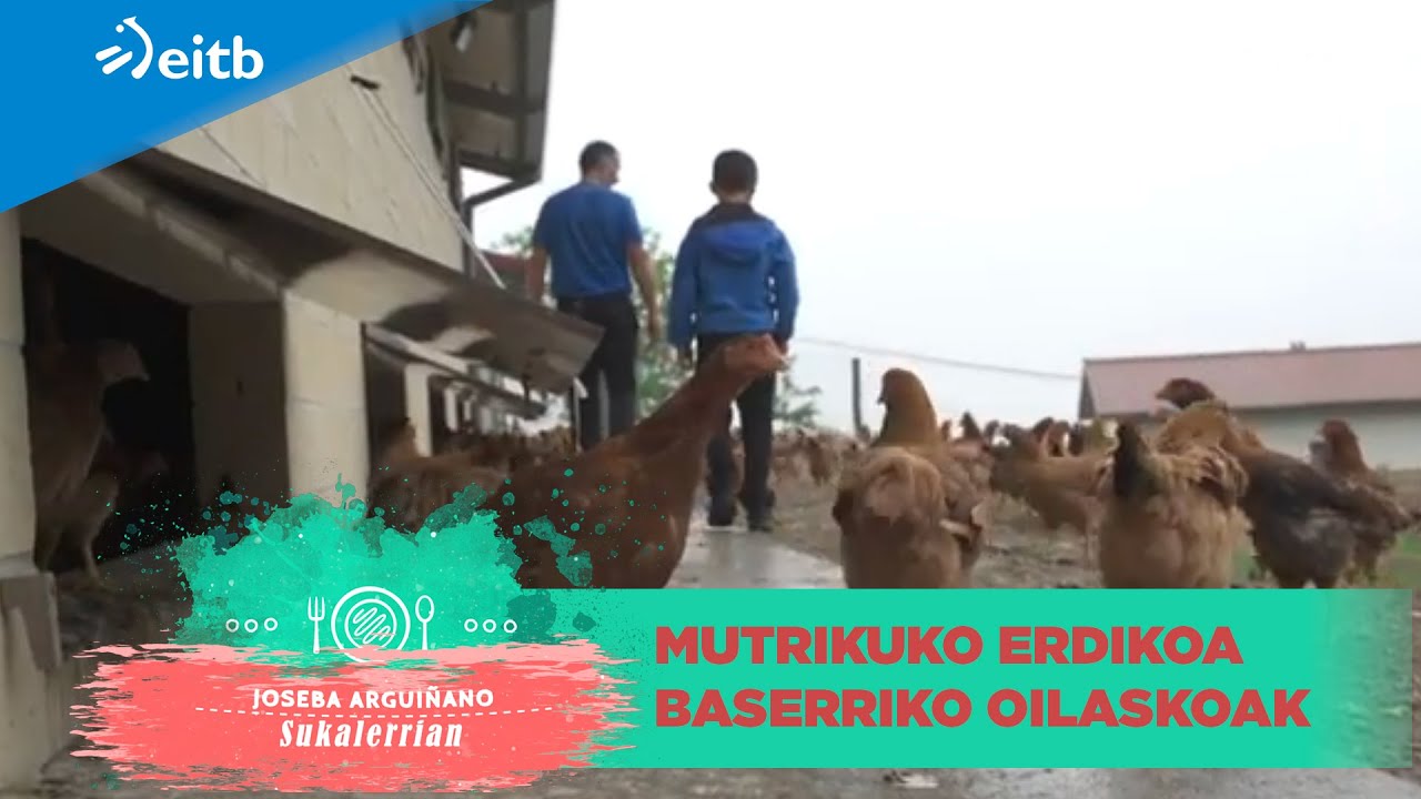 Lumagorri oilaskoak hazten dituzte Mutrikuko Erdikoa baserrian