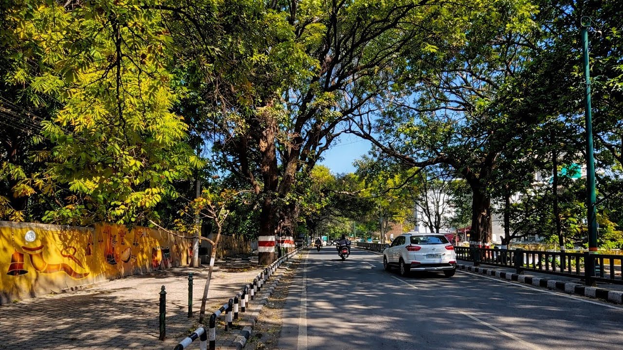 Rajpur Road, Dehradun, India | Peaceful Forest Road Walk | Daytime Nature Atmosphere |  Walking Tour