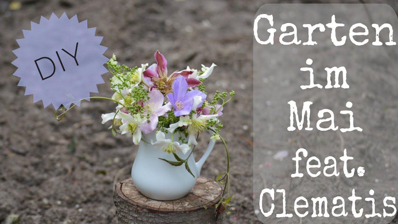 DIY: BLUMENGARTEN im MAI - feat. CLEMATIS & BAUSTELLE - Altes geht, Neues entsteht