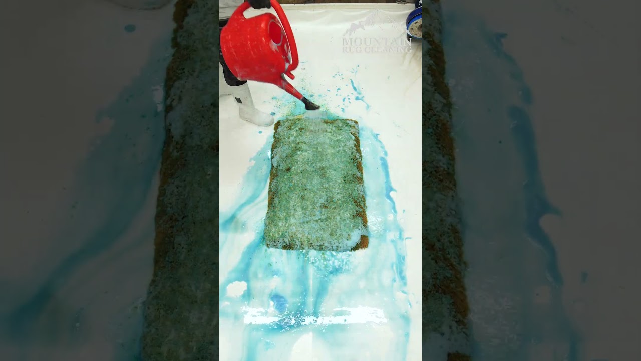 Storm Damaged Rug! So Much Mud. Is It Saveable? Satisfying ASMR Carpet Cleaning Timelapse. #shorts