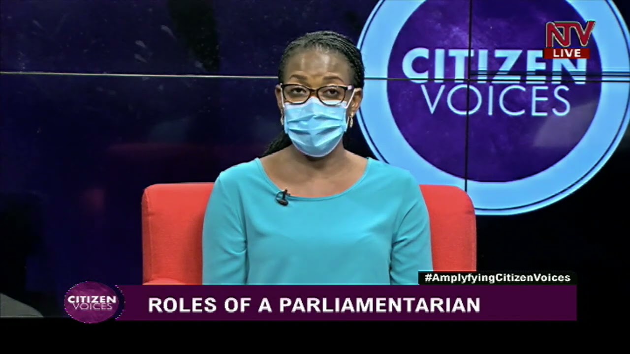 Understanding the role of a parliamentarian | CITIZEN VOICES