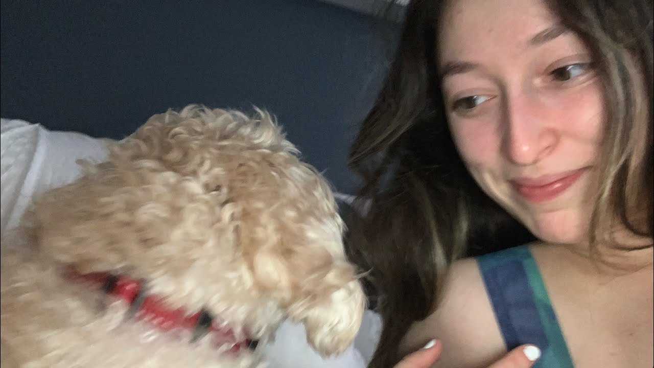Vlog #22 - A week in paradise