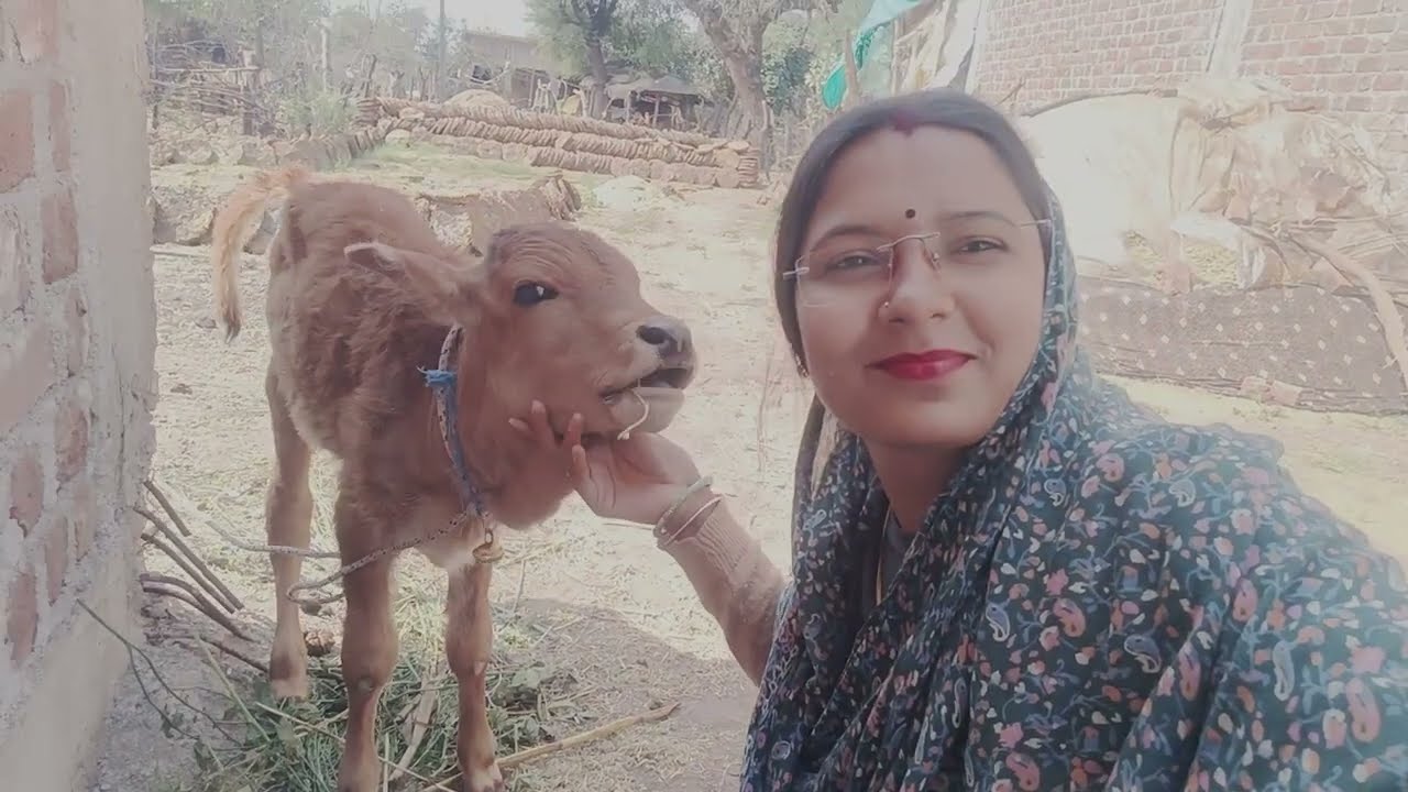 Bholu ko mene khas khiladi doston 😄😁 dailyvlog || my first blog 🙏🏻