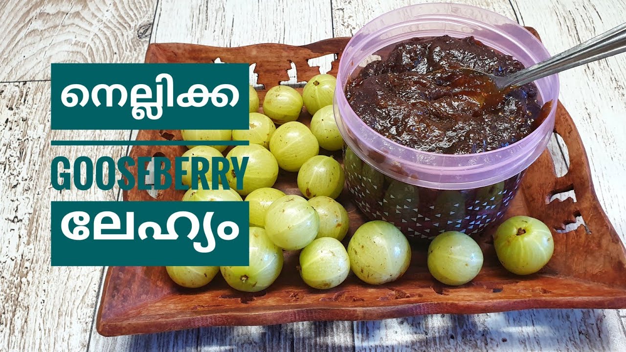 സംശുദ്ധമായ നെല്ലിക്ക ലേഹ്യം എളുപ്പത്തിൽ വീട്ടിൽ തന്നെ ഉണ്ടാക്കാം // Homemade NELLIKKA LEHYAM