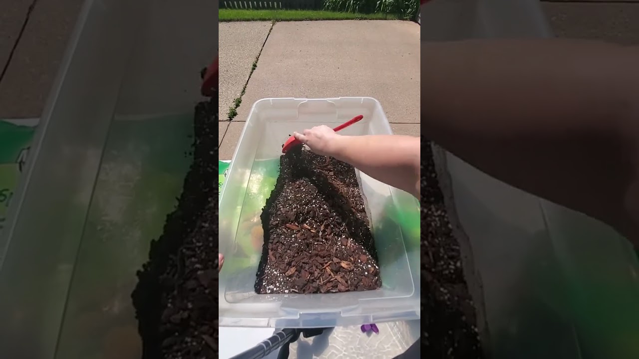 Perfect potting mix for thriving indoor plants #indoorplants #pottingsoil