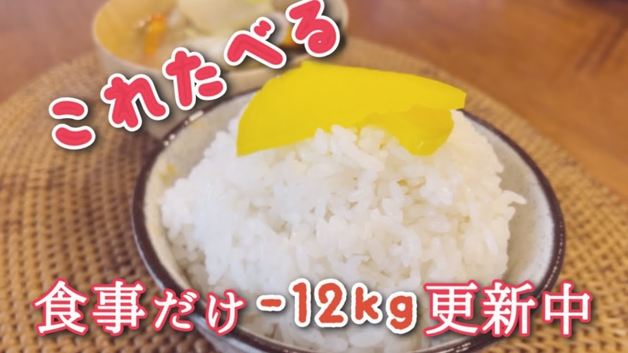 現在-12kg🌾美味しいものは我慢するな🍚運動も食事制限もしない主婦のダイエット日記