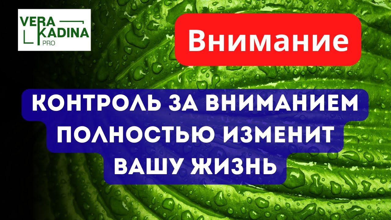 Контроль за вниманием. Зацикленность 