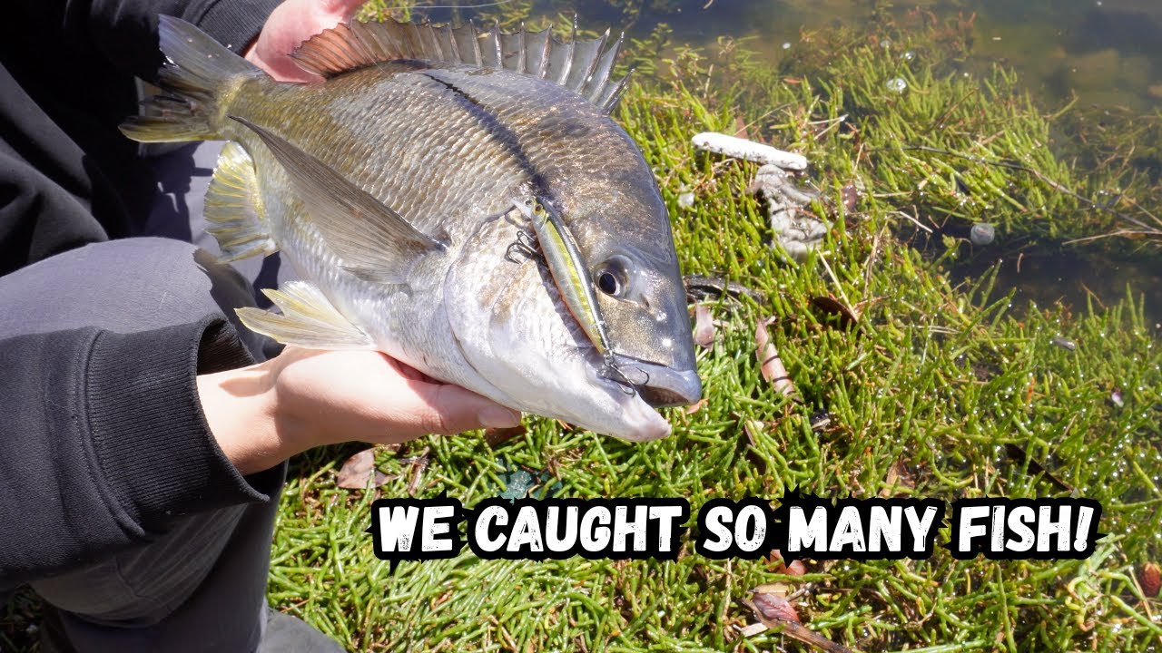 SMACKING bream in urban polluted water!