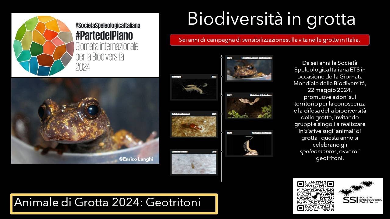 Giornata Internazionale della Biodiversità 2024