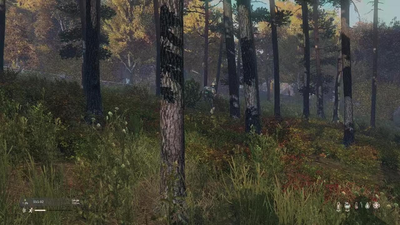 DayZ_20260301174303