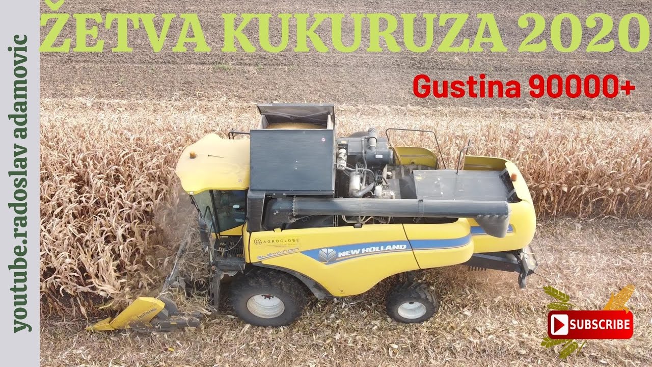 ŽETVA KUKURUZA 2020 Gustina 90000+ ; CORN HARVEST 2020