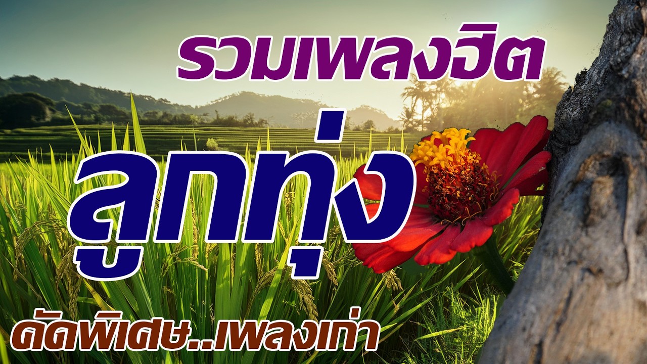 รวมเพลงลูกทุ่งคัดพิเศษเพลงเก่า