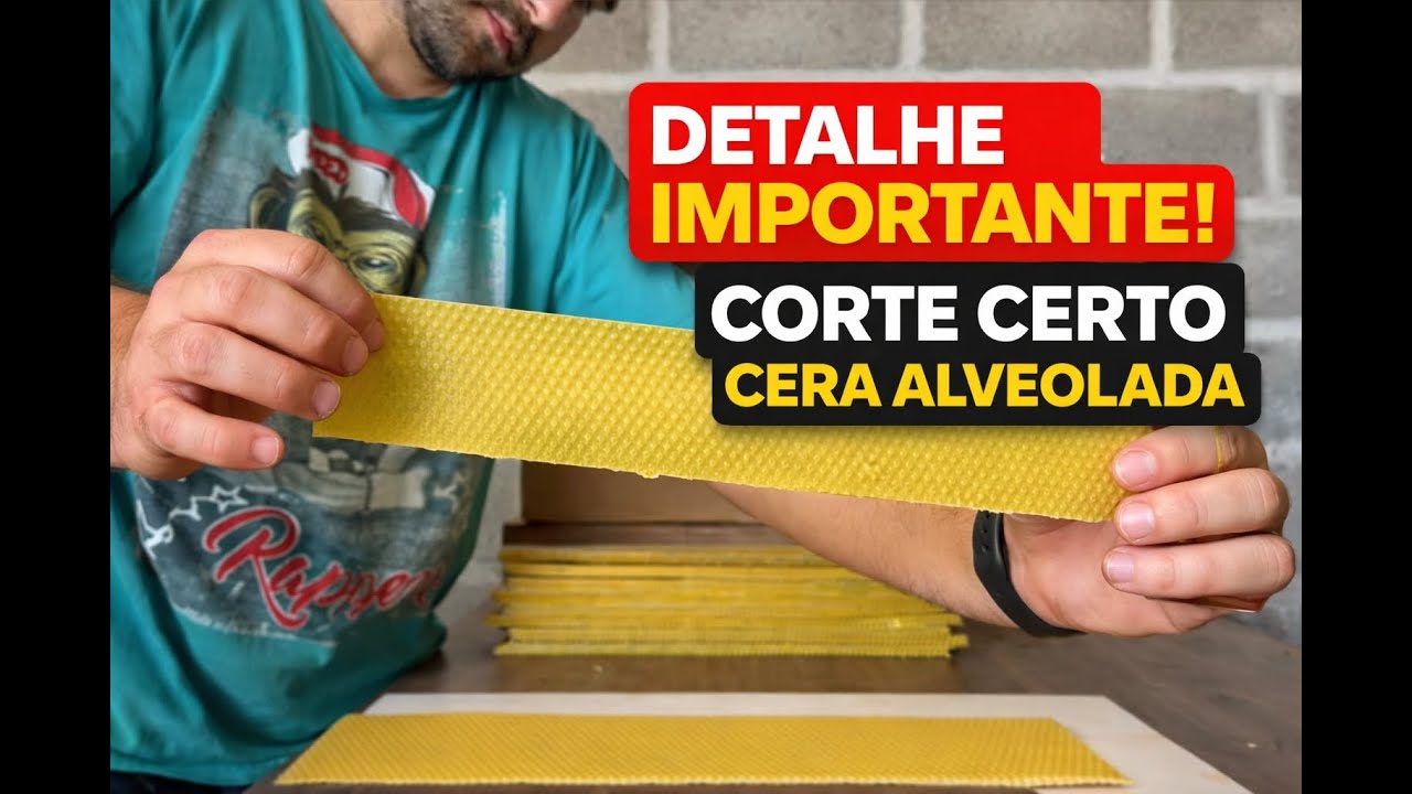 Como Cortar Cera Alveolada do Jeito Certo | Apicultura