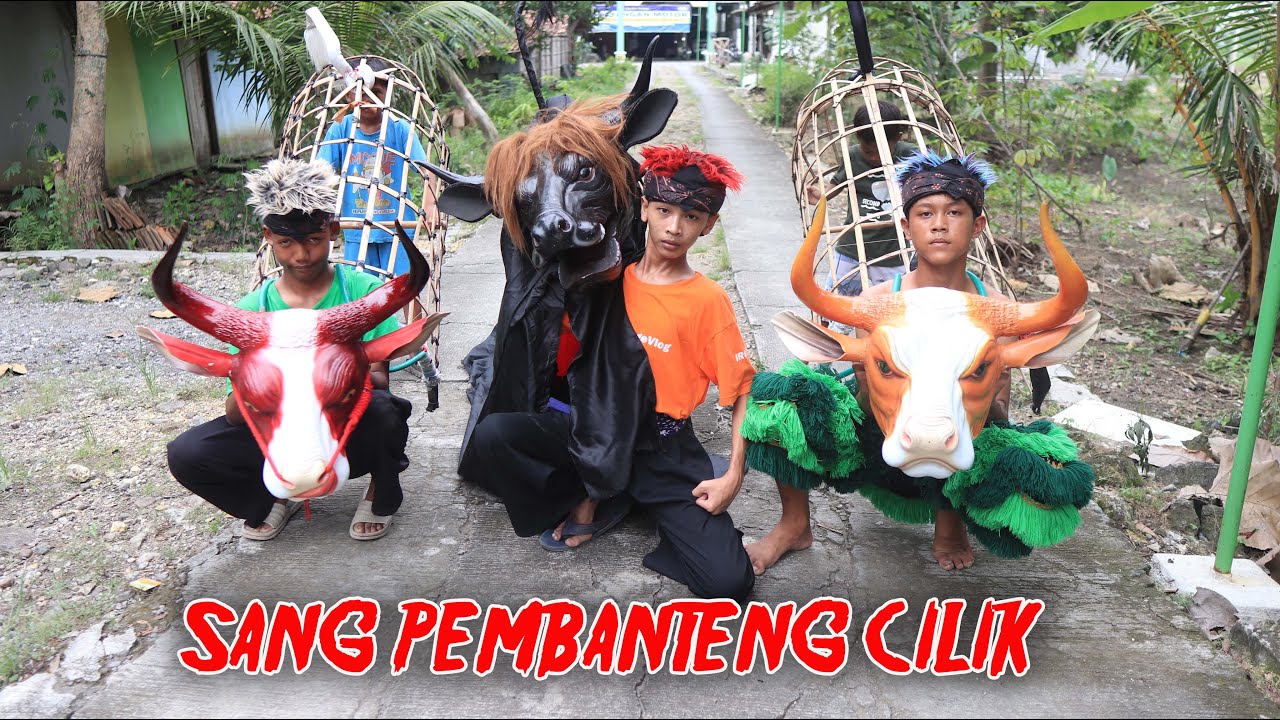 drama anak | SANG PEMBANTENG CILIK PECINTA SENI BANTENGAN SAPI MBEROT