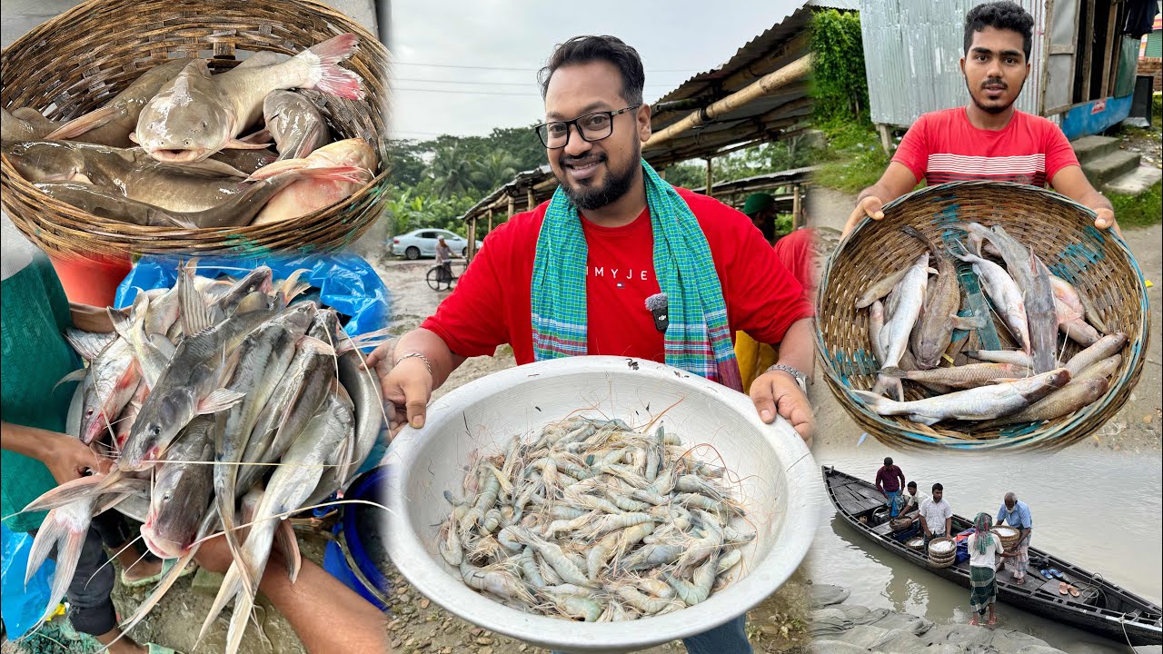প্রতিদিন সকালে ২ ঘন্টা পাওয়া যাবে তালতলী নদীর তাজা মাছ - আমি নিলাম আইড়, দরগী, শলা চিংড়ি ও গোটা চিংড়ি