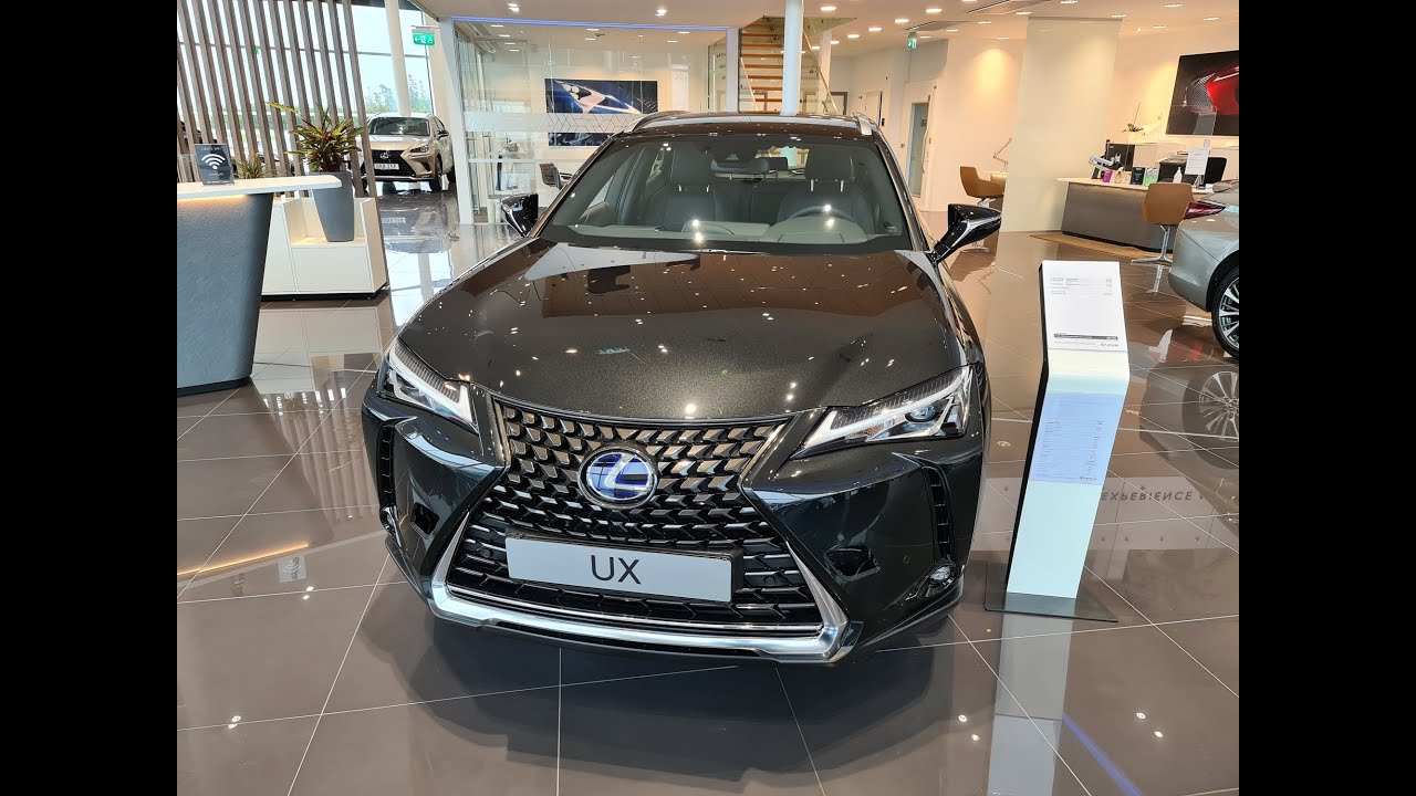 Сравнение Lexus ux300e vs BMW iX3. Часть 1. Хобби и отдых.