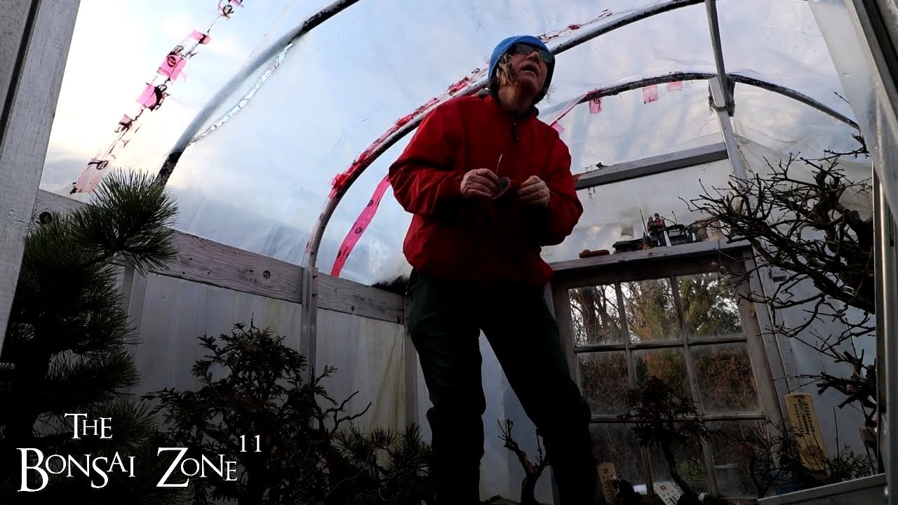 Fixing Up the Polyhouse, The Bonsai Zone, Dec 2024