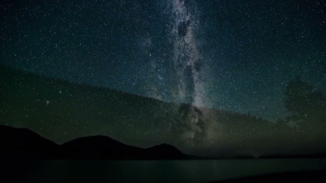 Nature Video One Minute