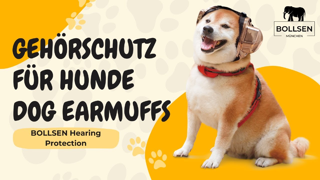 Endlich Ruhe für deinen Hund während Silvester | BOLLSEN Special Edition GOLD Gehörschutz für Hunde