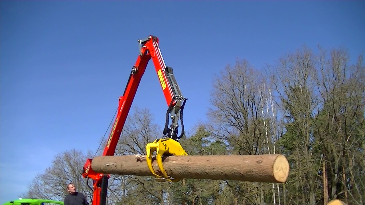 Holz von Sturm 
