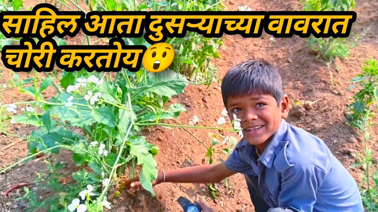 साहिल दुसऱ्यांच्या वावरात चोरी करत ये 😅