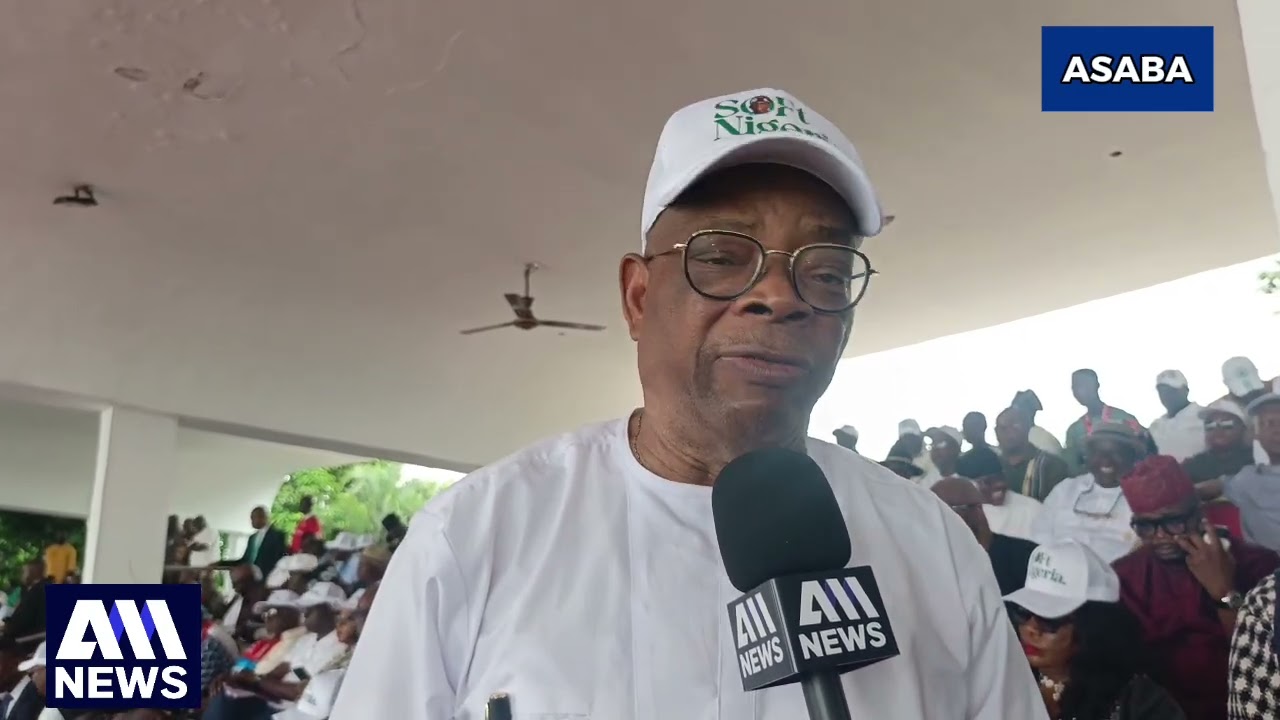 Arenyeka Emerges Delta State APC Chairman