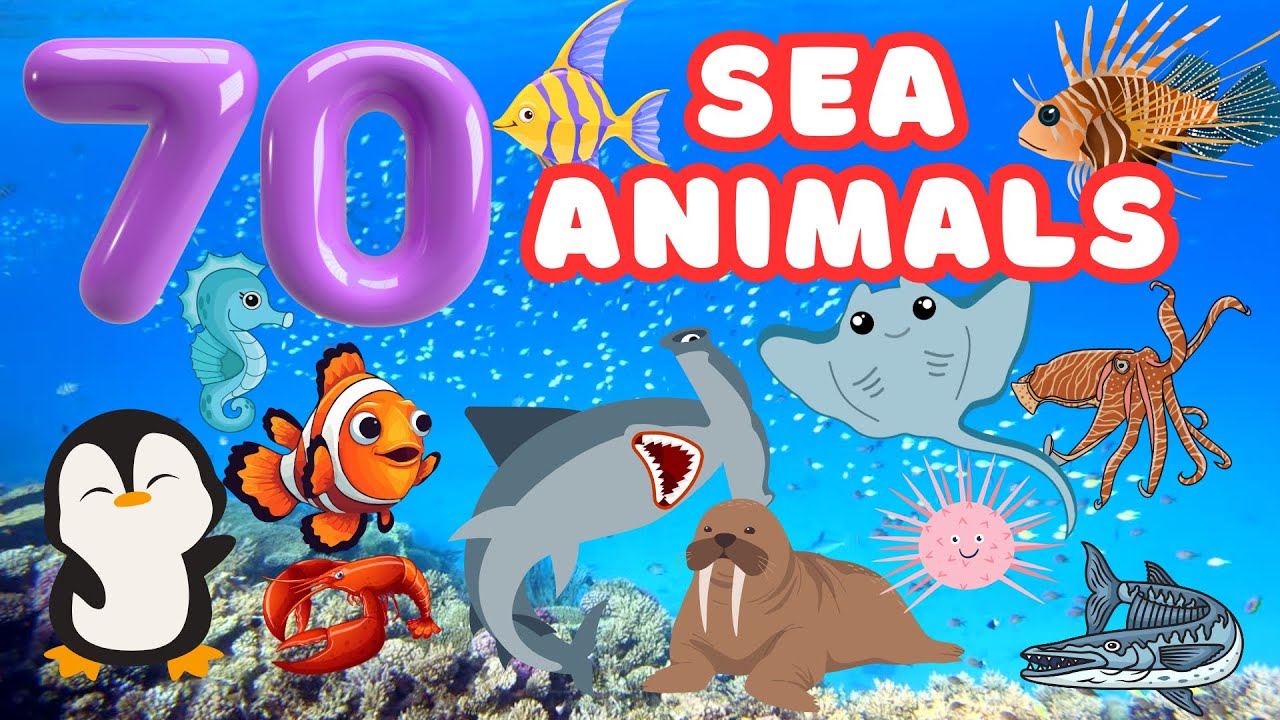 WOW! 70 Amazing Sea Animals Kids Will LOVE | Learn Ocean Creatures